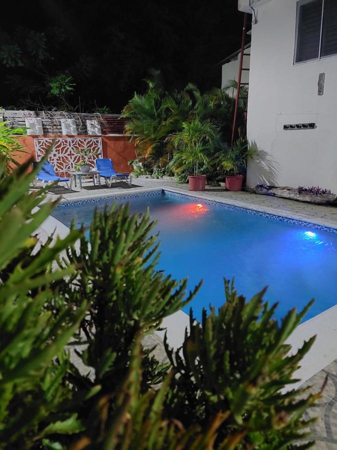 Complejo Villa Las Palmeras Piscina, Billar, Jardin, Bbq @Drvacationsrental Samana Esterno foto