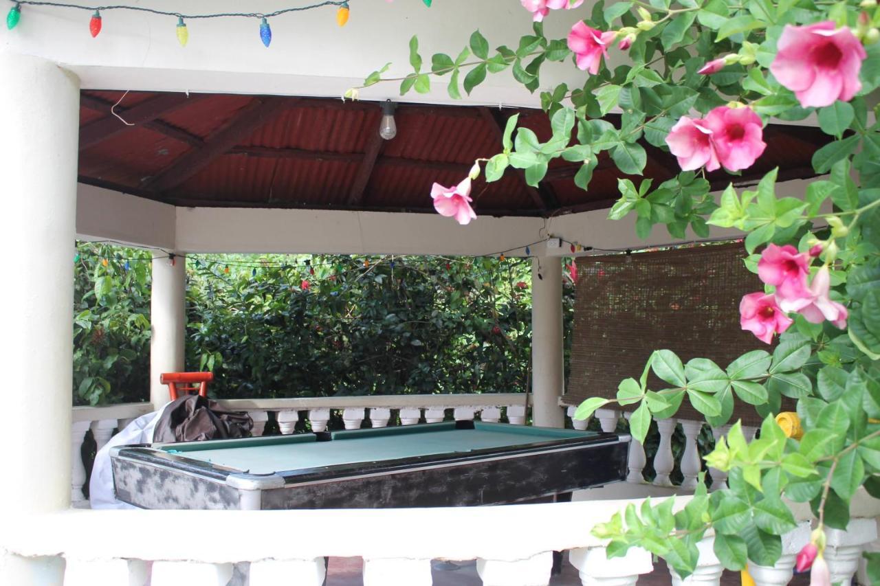 Complejo Villa Las Palmeras Piscina, Billar, Jardin, Bbq @Drvacationsrental Samana Esterno foto
