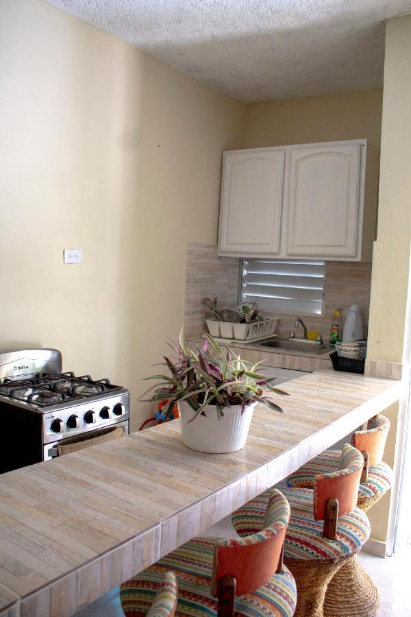 Complejo Villa Las Palmeras Piscina, Billar, Jardin, Bbq @Drvacationsrental Samana Esterno foto